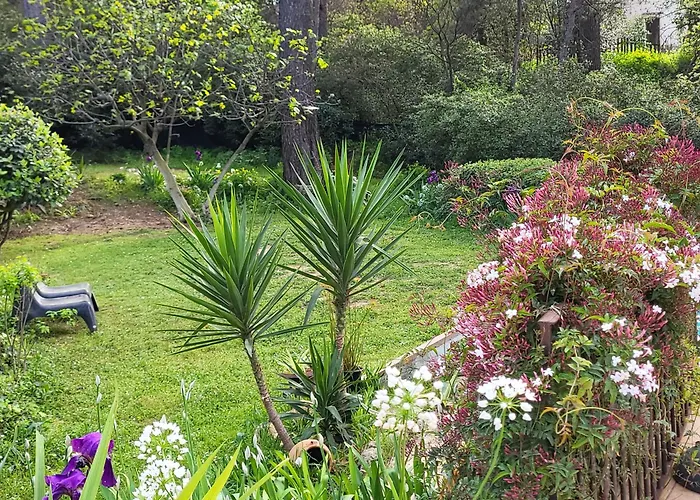 Un Oasis En Provence