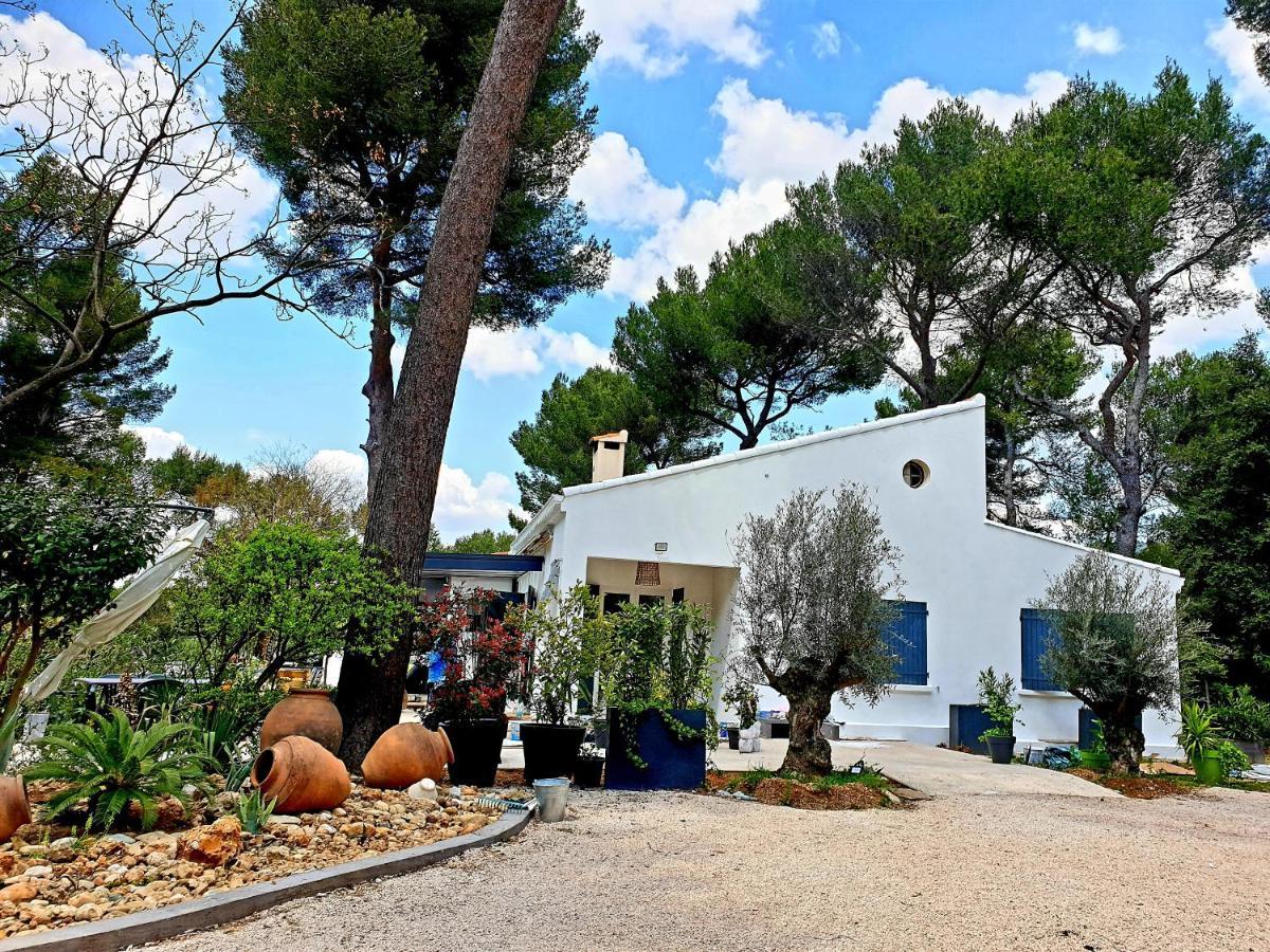 Un Oasis En Provence Aubagne
