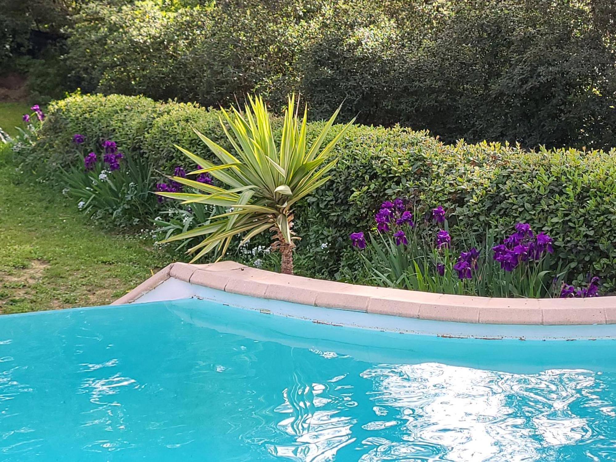Villa Un Oasis En Provence
