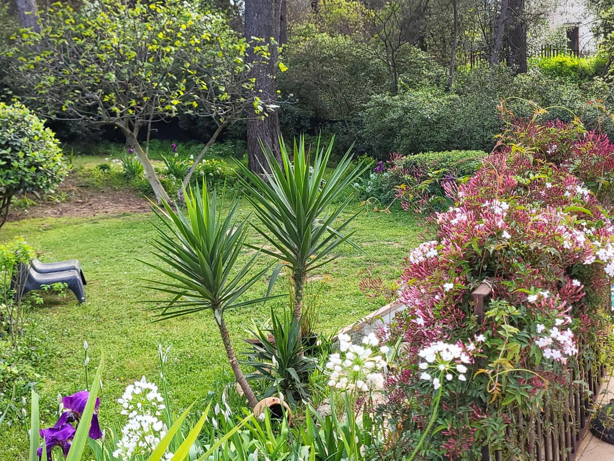 Un Oasis En Provence Villa Aubagne