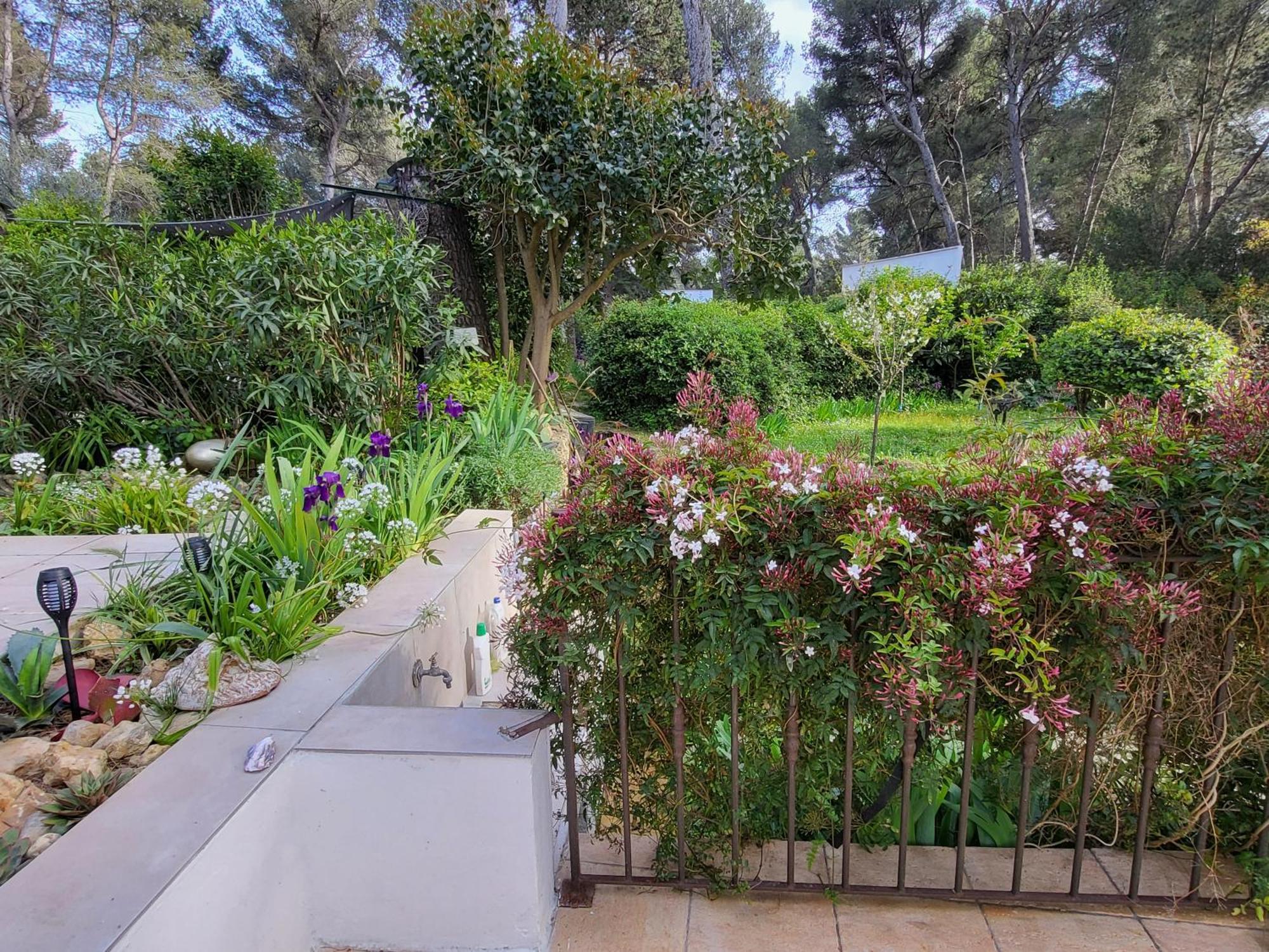 Un Oasis En Provence *